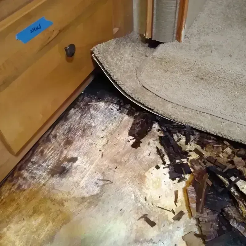 Wood Floor Water Damage in Lake County, MN